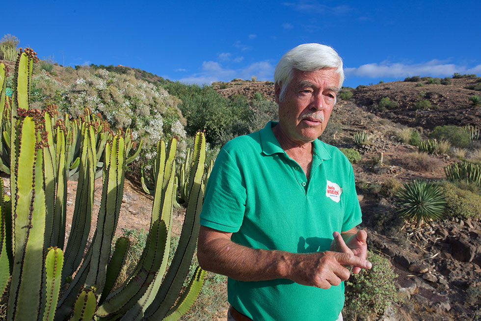 El jardín de plantas endémicas más valorado de la Macaronesia | Diario de  Fuerteventura