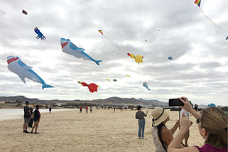 [Image: 081118-cometascotillo321.jpg]
