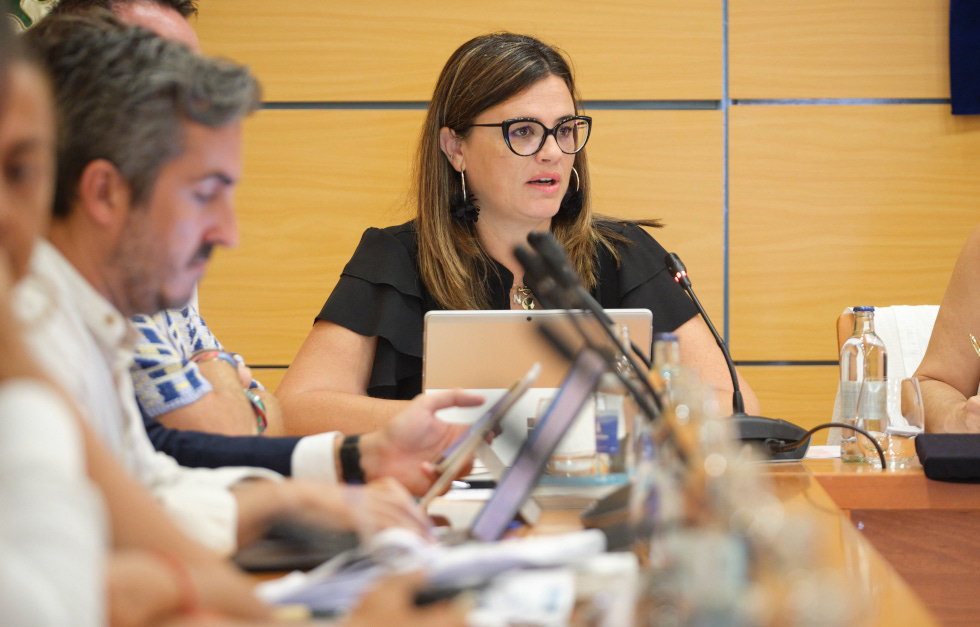El Cabildo publica la resolución provisional de las ayudas al fomento ...