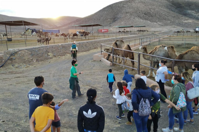 071221_WILD%20LIFE%202_660440 Oasis Wildlife abre al público la reserva oficial de camellos de sus Majestades de Oriente